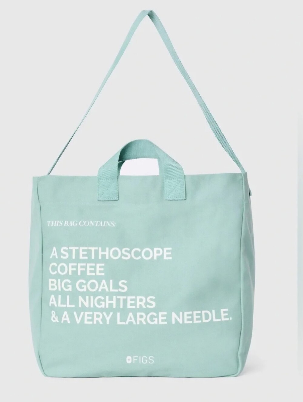Figs Canvas  A Very Large Needle Tote Bag in Seaglass